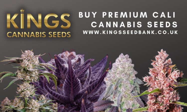 cali cannabis seeds